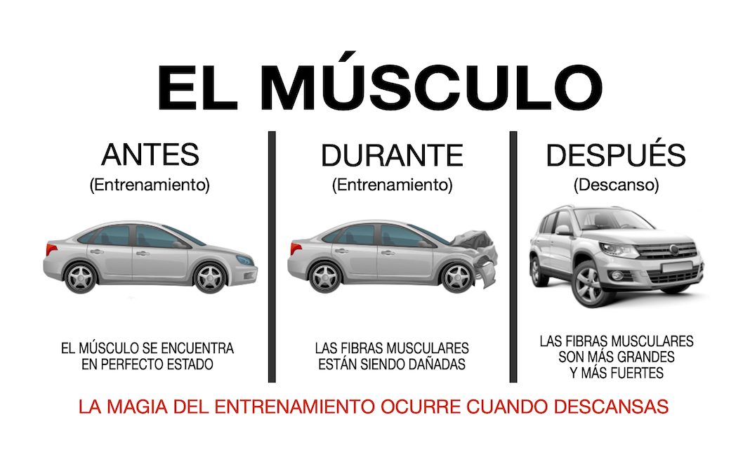 Ventajas del Entrenamiento de Fuerza