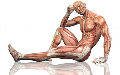 ¿Qué es la Fascia?