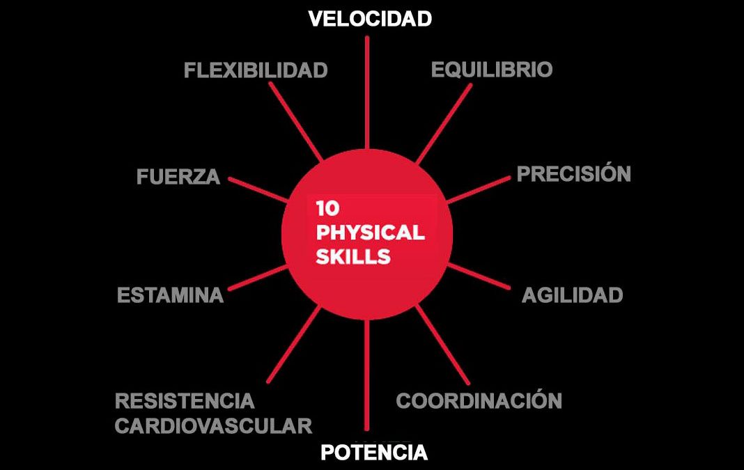 Cómo conseguir el movimiento completo y libre a través del entrenamiento