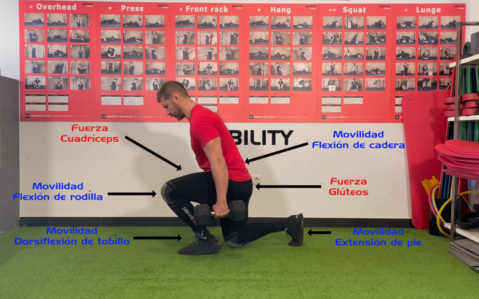 Sentadilla-split-1536×958