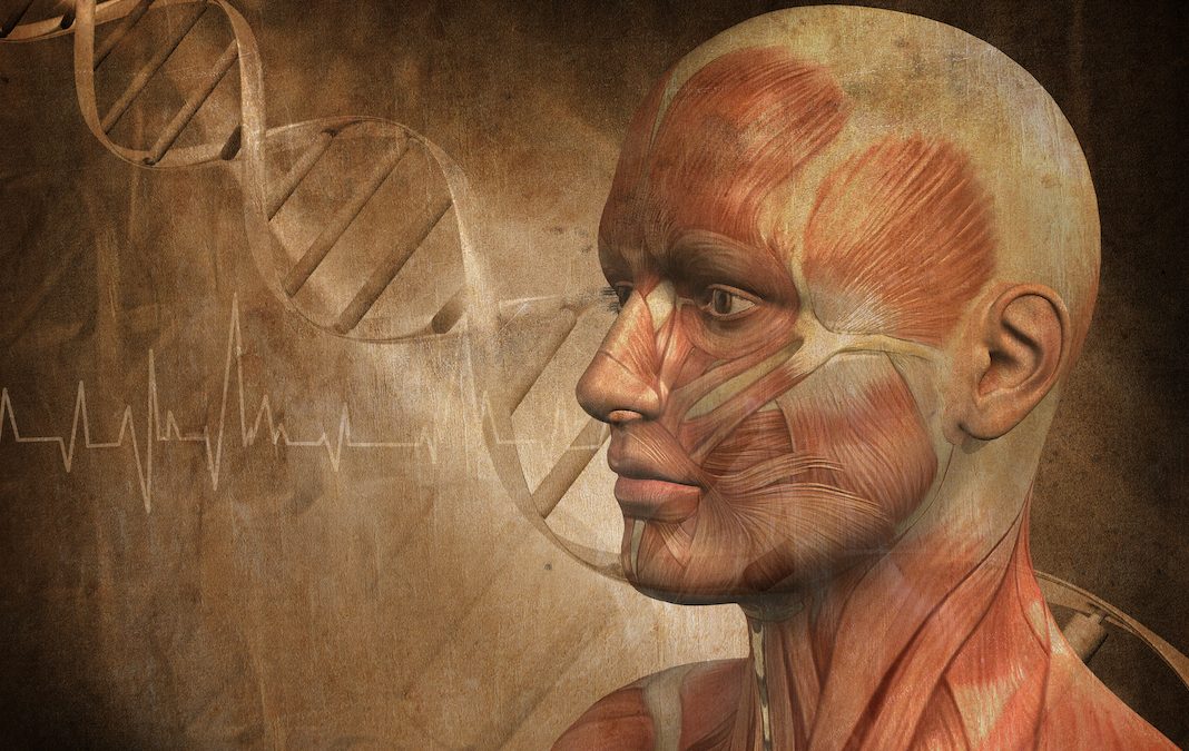 ¿Cómo tu cerebro te hace más fuerte?